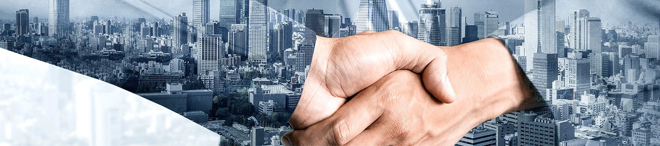 Financial Advisory Services